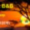 Aviators-Retreat-B-B