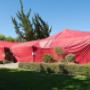 Tent Fumigation against woodborer!