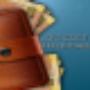 Affordable Web Design Solutions