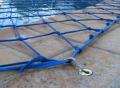 A pool net could save a Life...