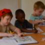 Adapted CAPS curriculum