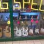 Opening Specials