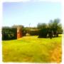 Ruins Field
