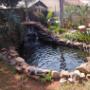10 000 litre Natural Rock Koi Pond