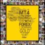 ACM Gold 3
