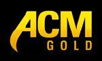 Acm Gold and Forex Trading