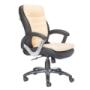 Manager Chairs Manufacturer in Delhi