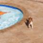 Pool Surround Paving