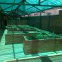 Complete Green house/Covered play area