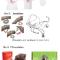 More-gift-ideas