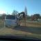 Lion-Park