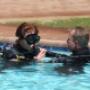 Instructor with open water student