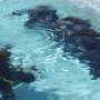 Open water students with instructor