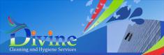 Divine Cleaning Services