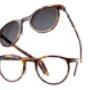 spectacles and sunglasses