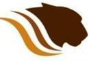 Tyger Civils