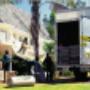 Domestic Removal