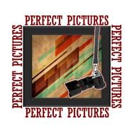 Perfect Pictures