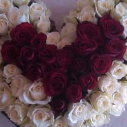 Floral D'light