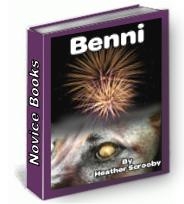 Novice Books