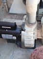 Pool Motors