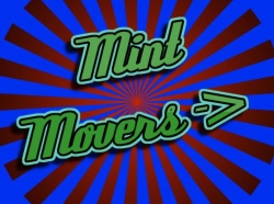 Aaaa+ Furniture Removals By Mint Movers Pretoria Johannnesburg Cape Town Bloemfontein