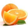 Orange Package