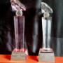 Crystal Trophies - Plaques made from silver romark
