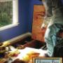 Bee Removal Service