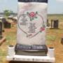 Uploaded by visitor on 2018/02/01 - LSS41