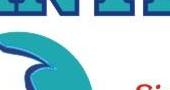 Dolphin Printing