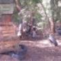 Paintball Field