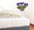 Spring Cleaning, Tenancy Cleaning