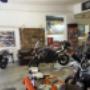 Wild@Heart Showroom