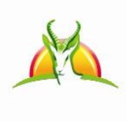 Impunzi Cape Town Airport Shuttle
