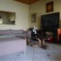 Living Room Area