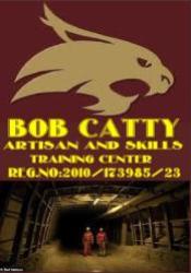 Bob Catty Marketing Solutions ,artisans Skills Training and Operators Traing Centre