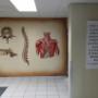 Chiropractor Boksburg