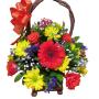 Colourful basket