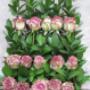 Tiered roses