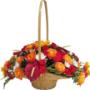 Vibrant basket