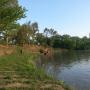 Peaceful1
