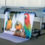 Creative Printing