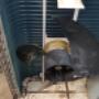 Outdoor Unit Before Cleaning