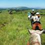 Uploaded by visitor on 2017/11/16 - Horse riding at the Pickle Pot cafe