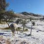 Uploaded by visitor on 2017/11/16 - In the snow at Stormy Hill