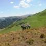 Uploaded by visitor on 2017/11/16 - Rides over the mountains