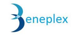 Beneplex IT