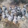 Uploaded by visitor on 2017/01/14 - Family gathering