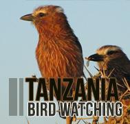 tanzasnia adventure